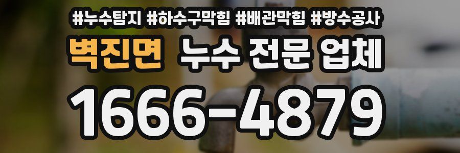 벽진면 누수 전문 업체