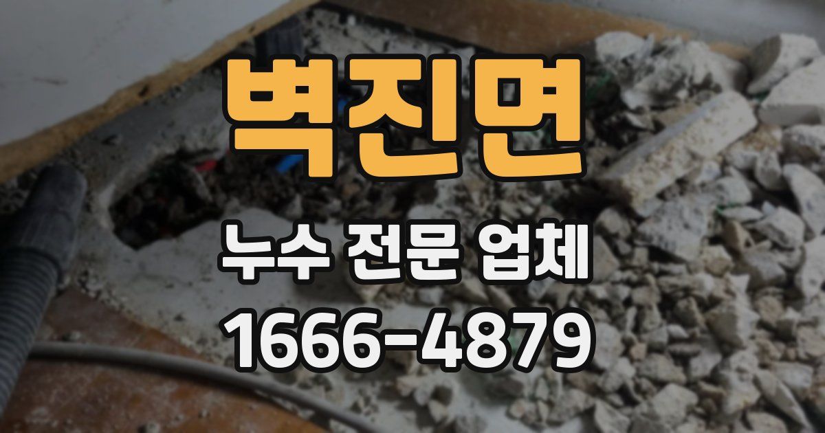 벽진면 누수 전문 업체