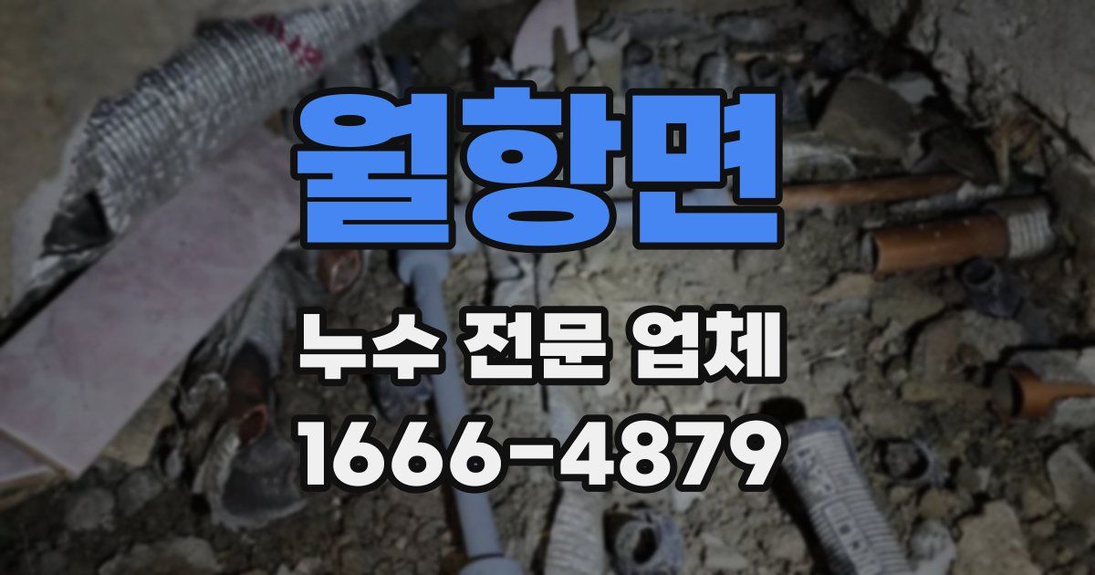 월항면 누수 전문 업체
