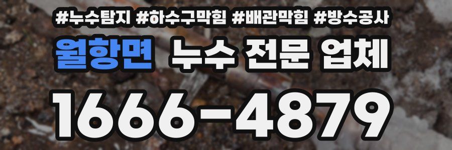 월항면 누수 전문 업체