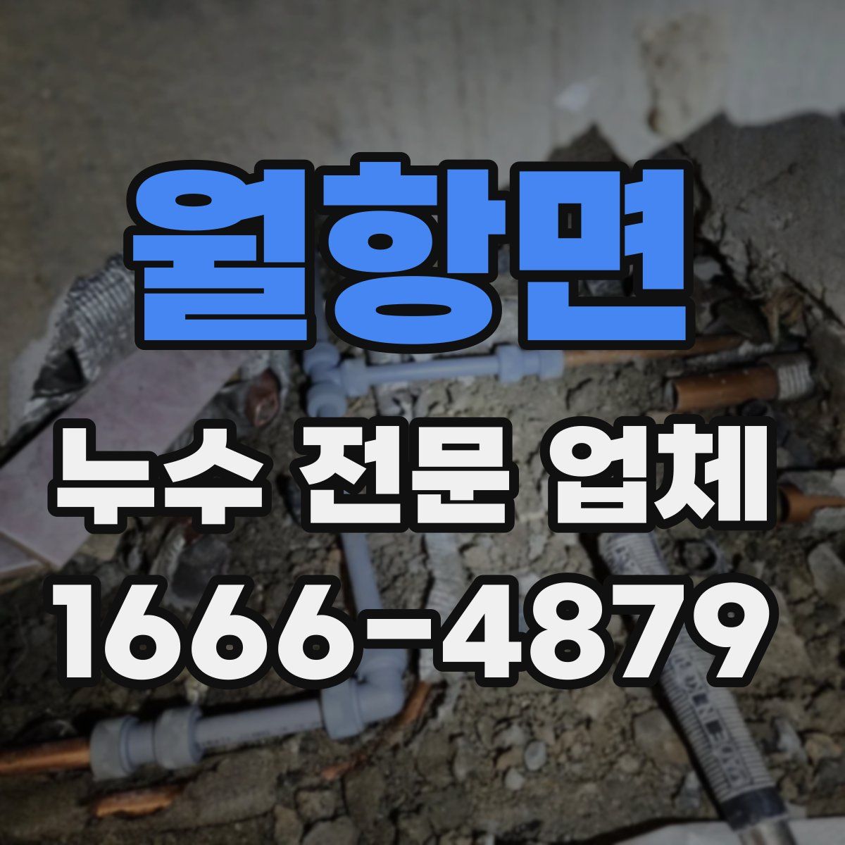 월항면 누수 전문 업체