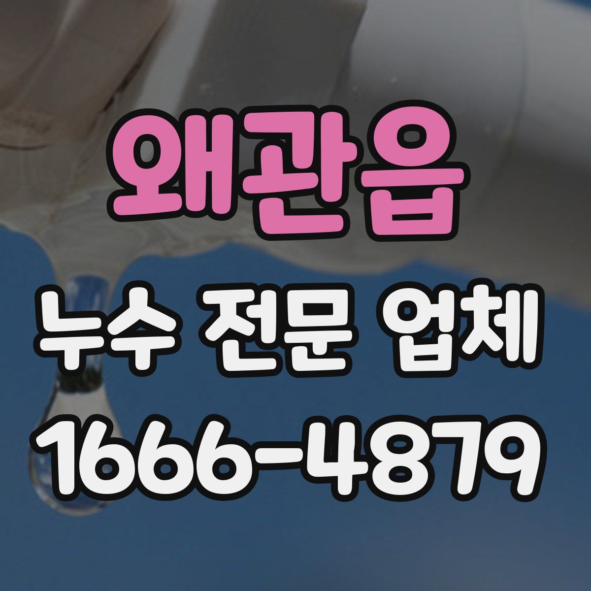 왜관읍 누수 전문 업체