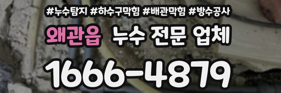 왜관읍 누수 전문 업체