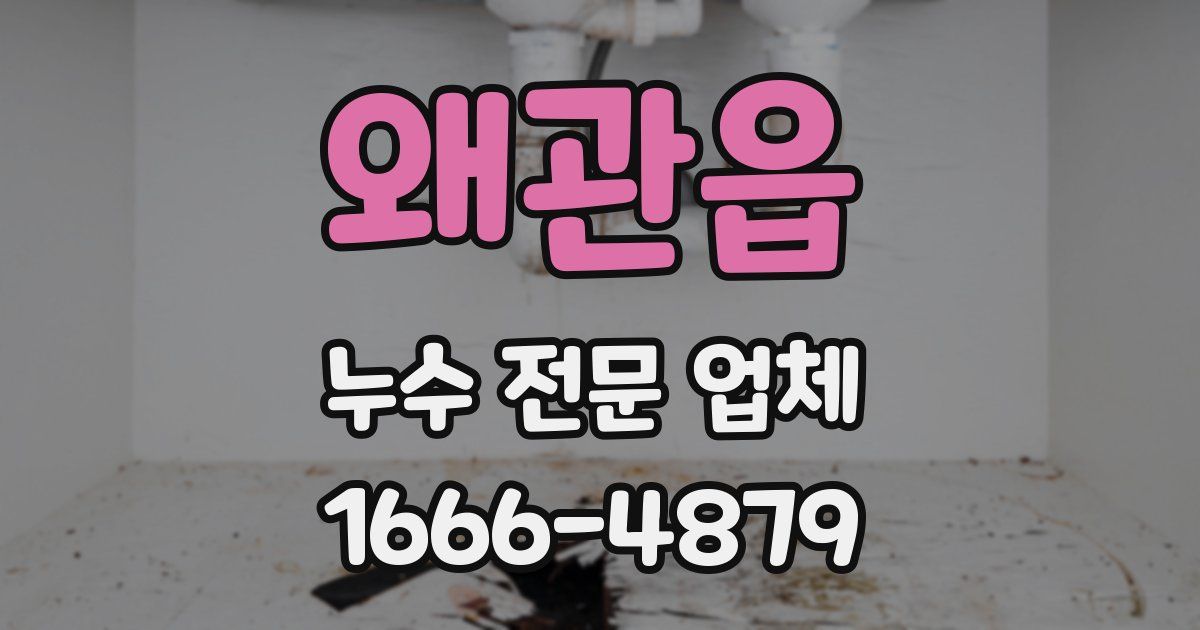 왜관읍 누수 전문 업체