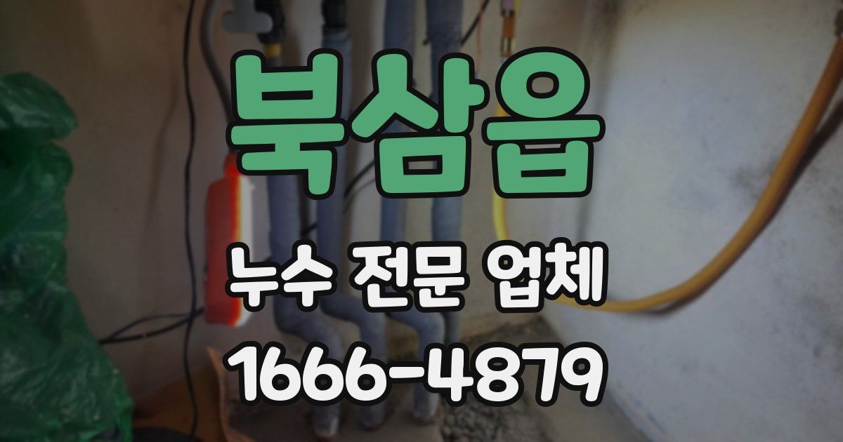 북삼읍 누수 전문 업체
