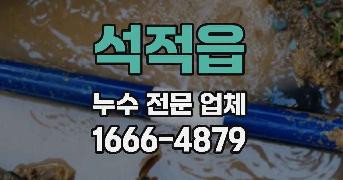 석적읍 누수 전문 업체
