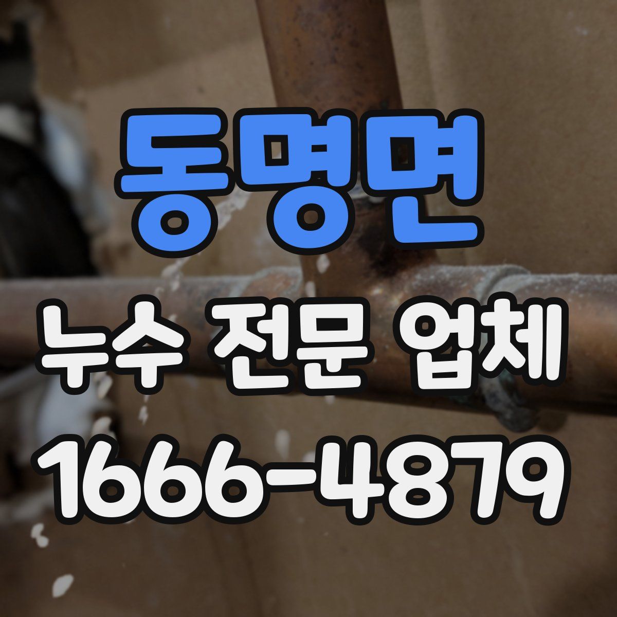 동명면 누수 전문 업체