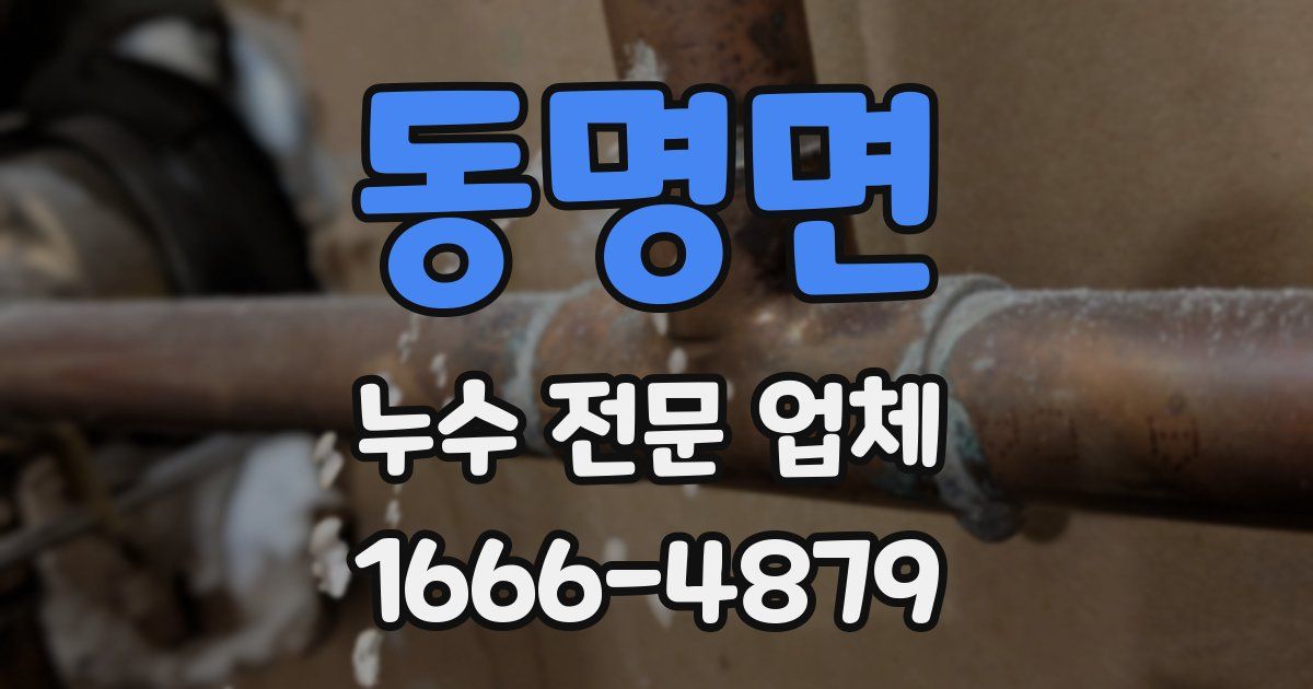 동명면 누수 전문 업체
