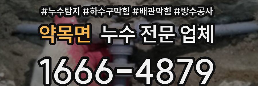 약목면 누수 전문 업체