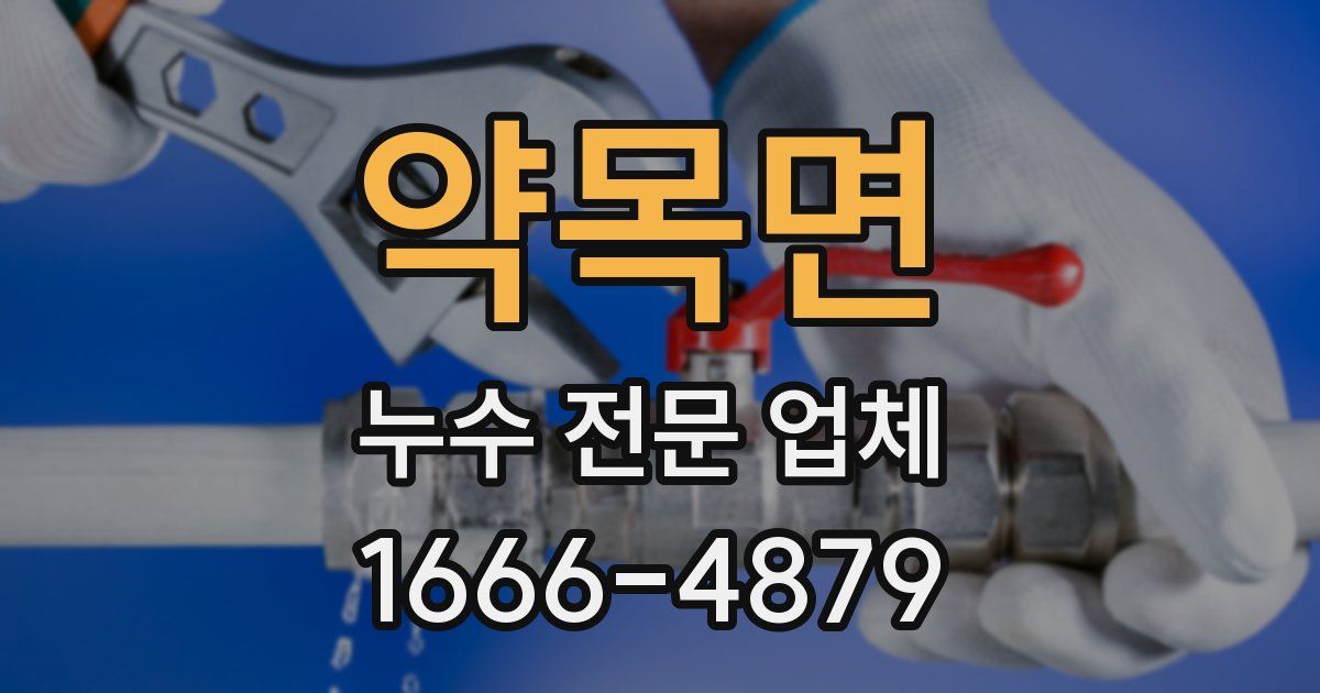 약목면 누수 전문 업체