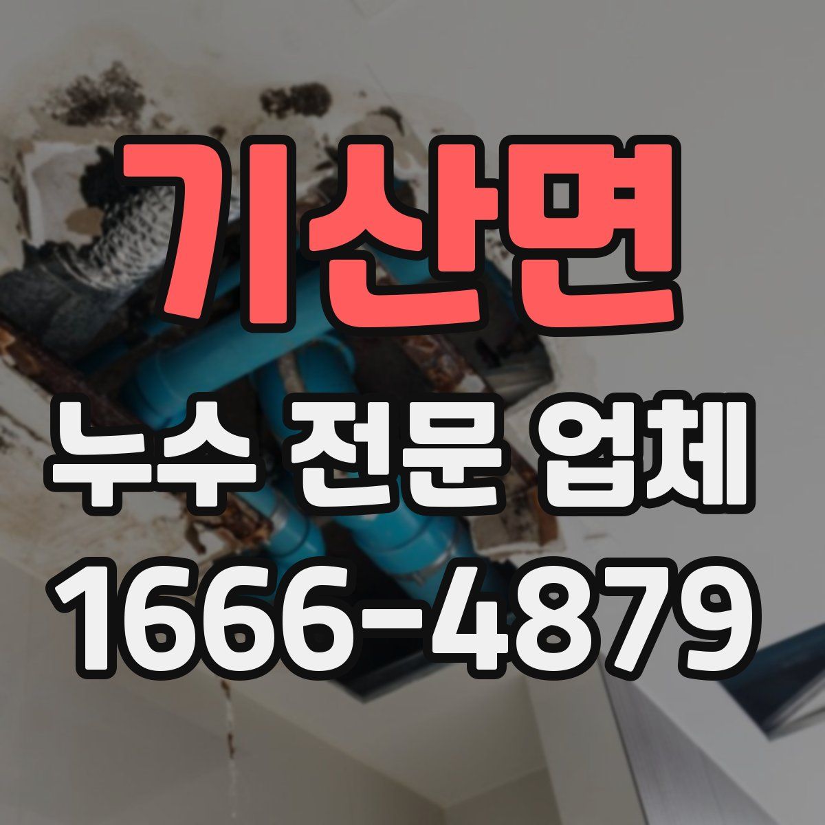 기산면 누수 전문 업체
