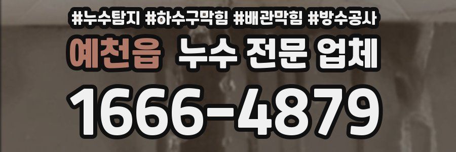 예천읍 누수 전문 업체