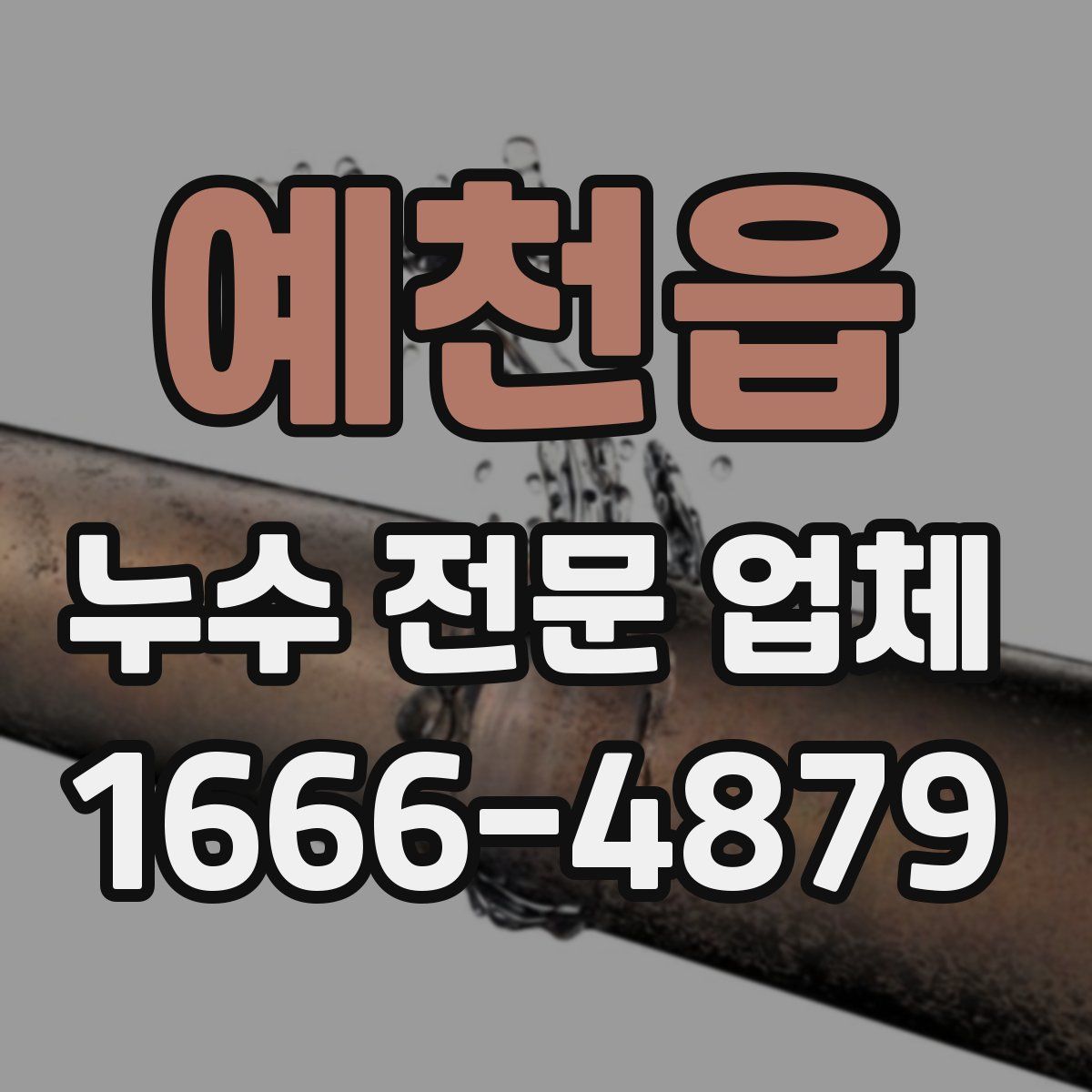 예천읍 누수 전문 업체