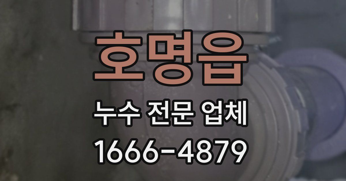 호명읍 누수 전문 업체