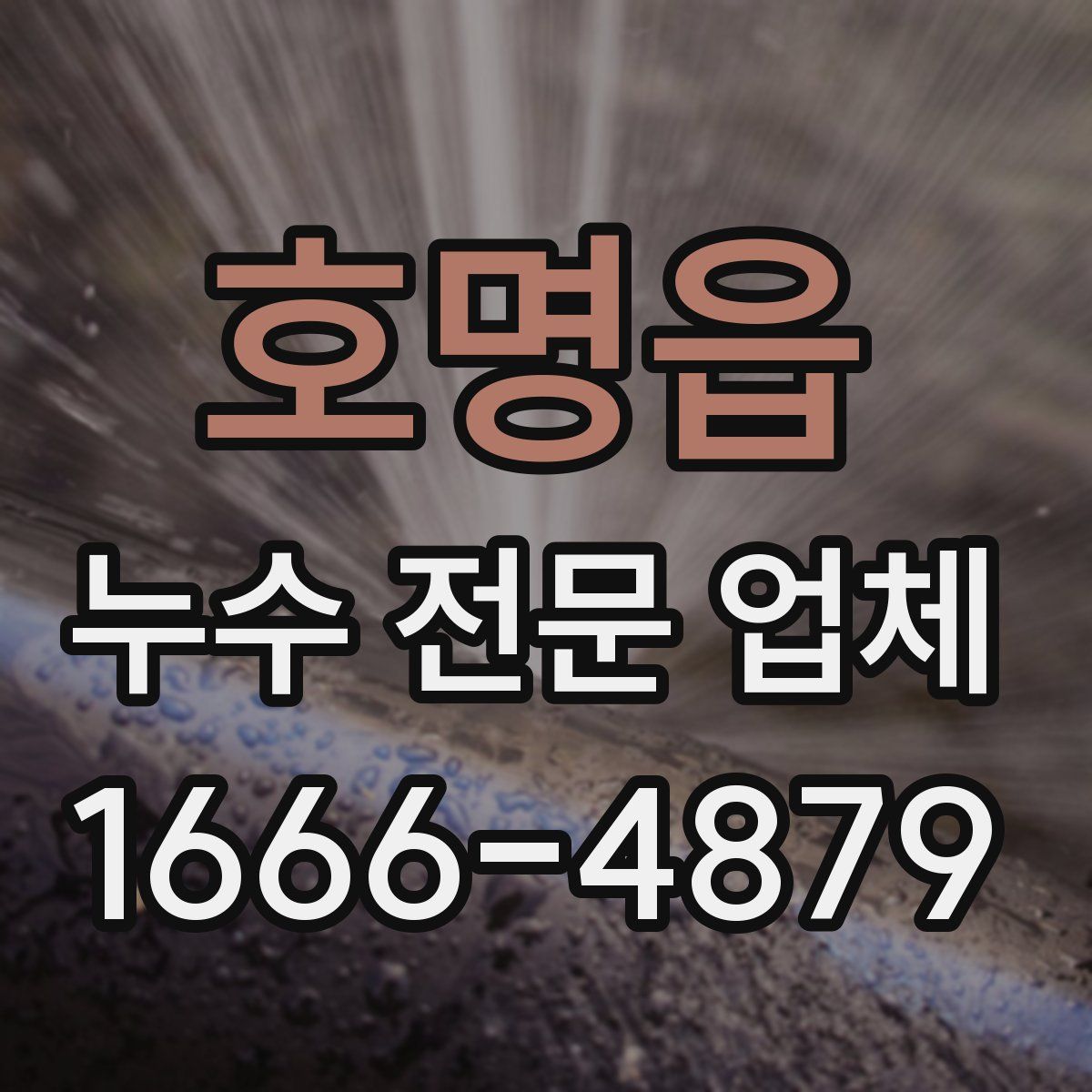 호명읍 누수 전문 업체