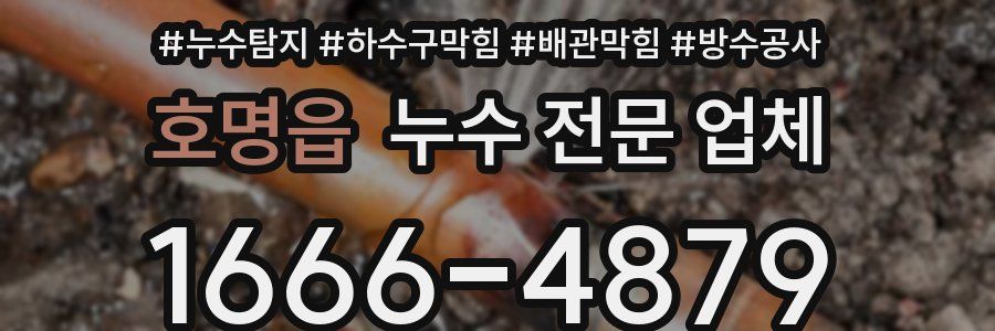 호명읍 누수 전문 업체