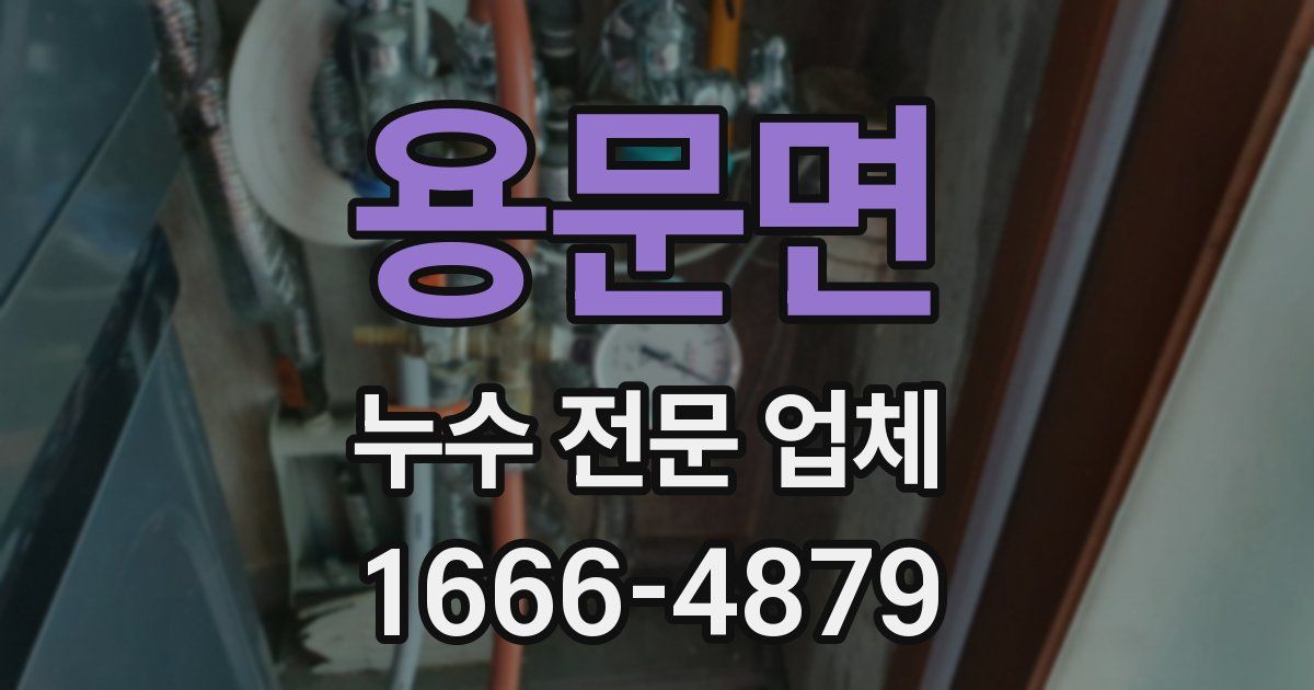 용문면 누수 전문 업체