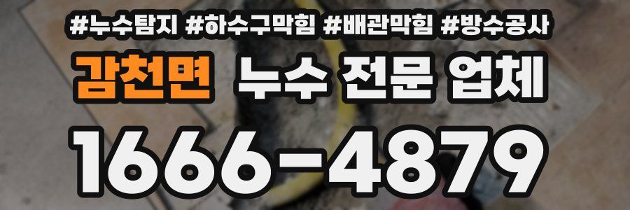 감천면 누수 전문 업체