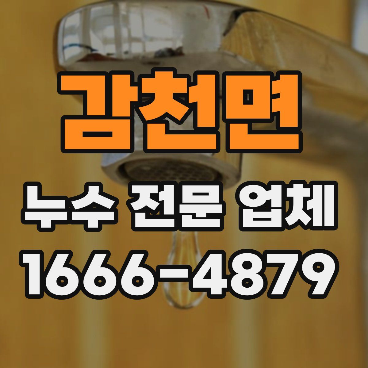 감천면 누수 전문 업체
