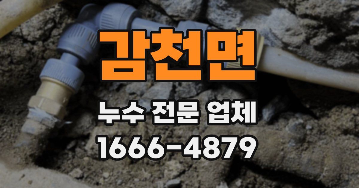 감천면 누수 전문 업체