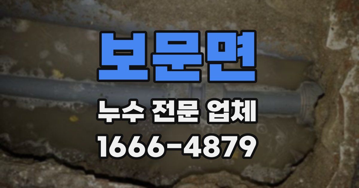 보문면 누수 전문 업체