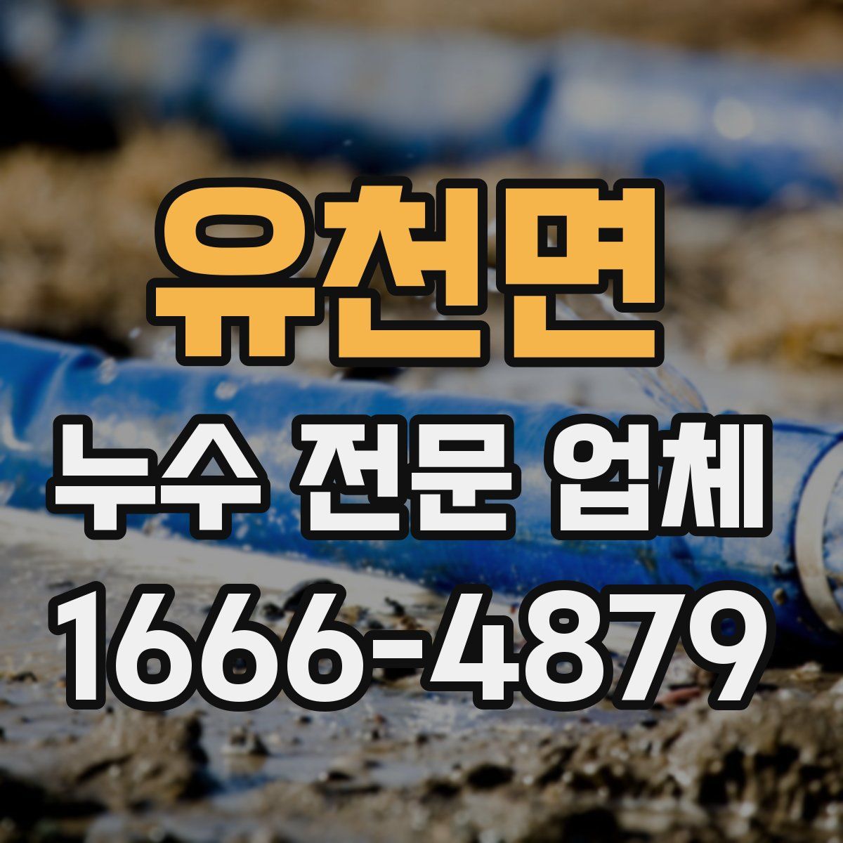 유천면 누수 전문 업체