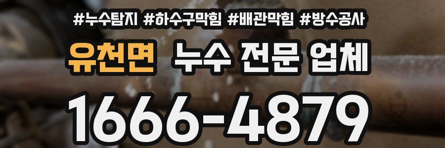 유천면 누수 전문 업체