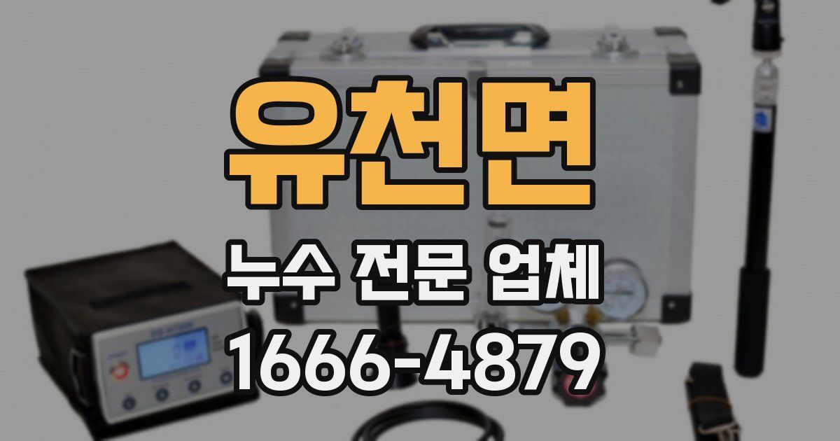 유천면 누수 전문 업체