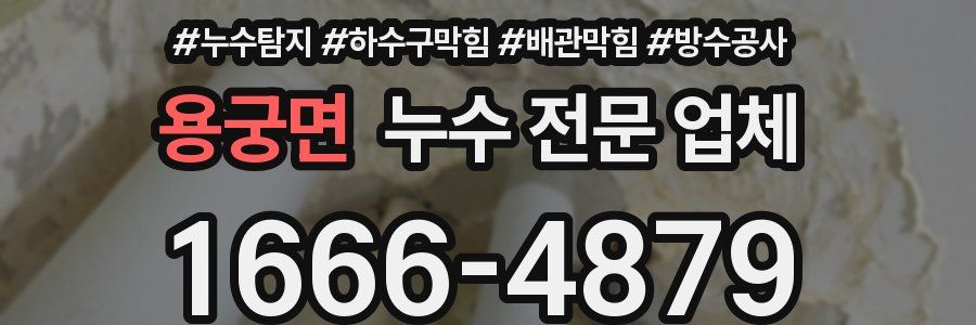 용궁면 누수 전문 업체