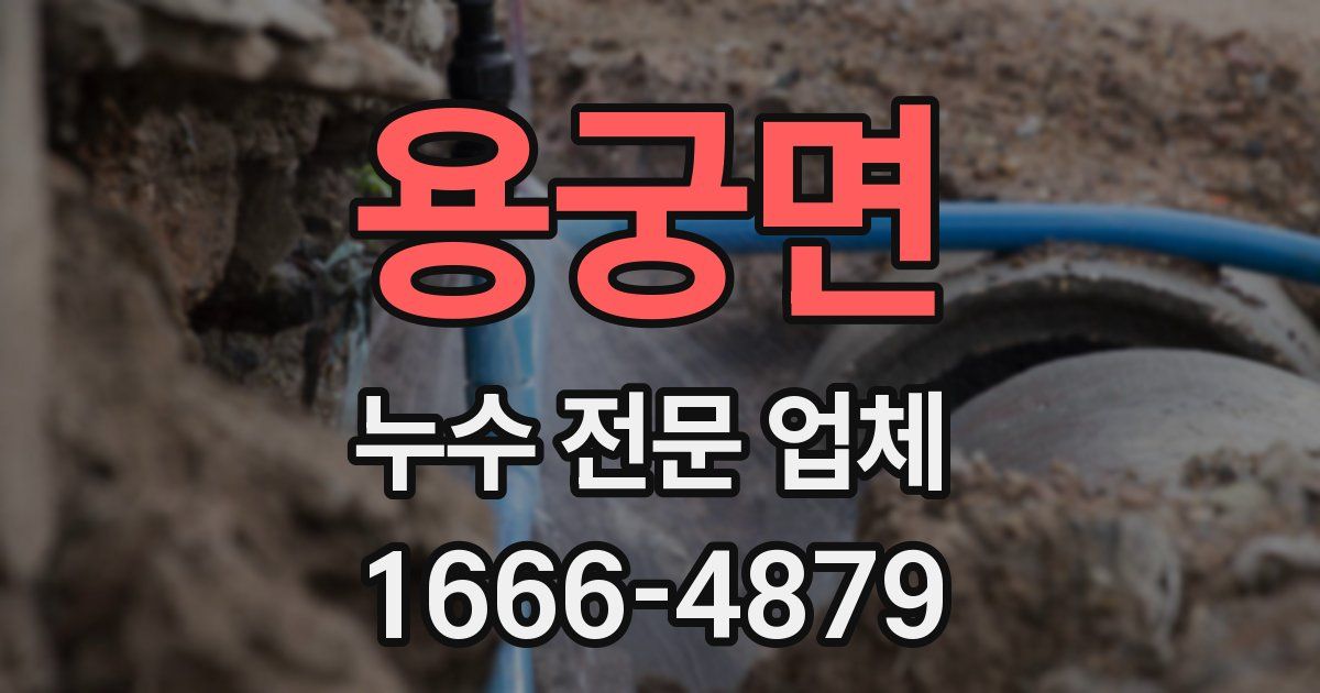 용궁면 누수 전문 업체