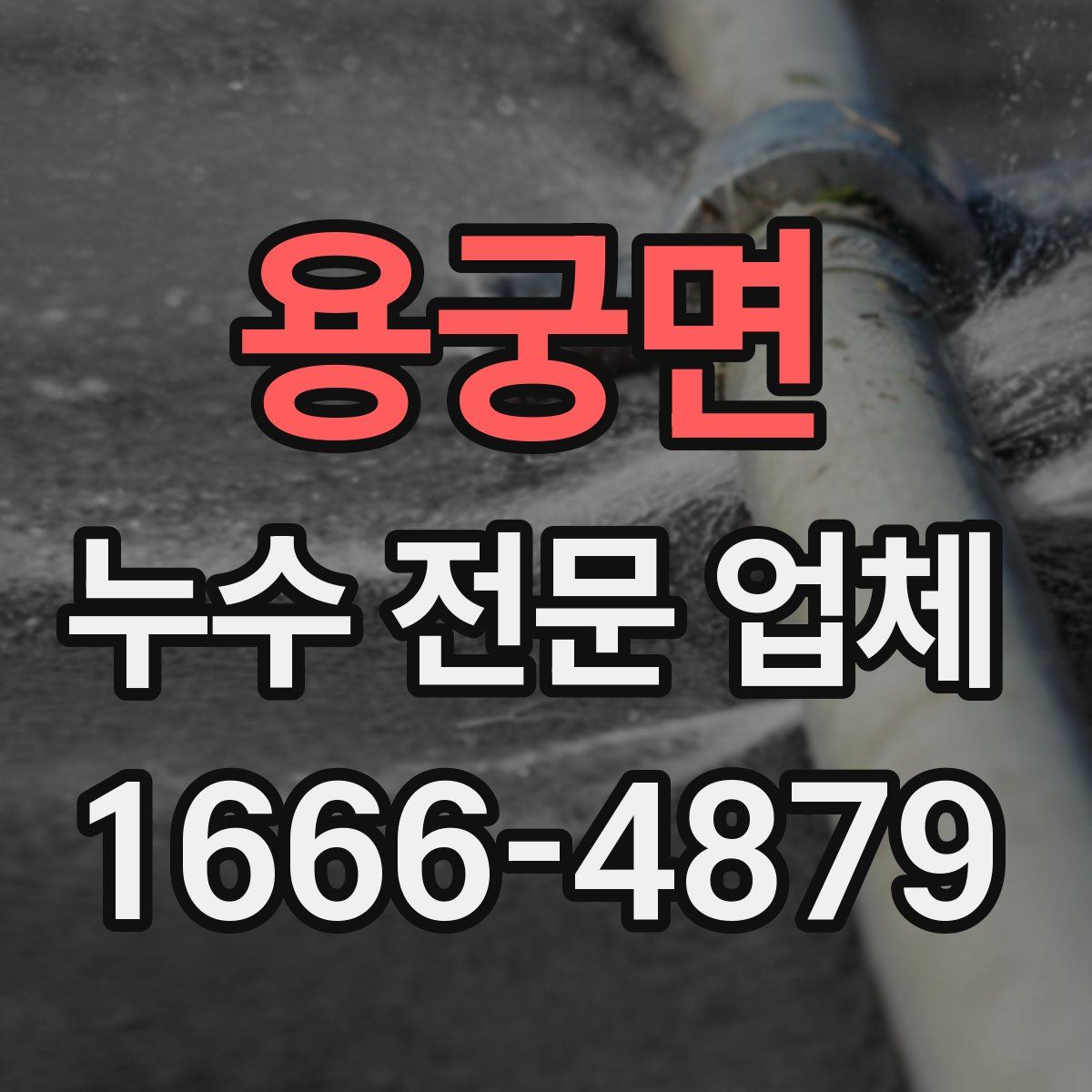 용궁면 누수 전문 업체
