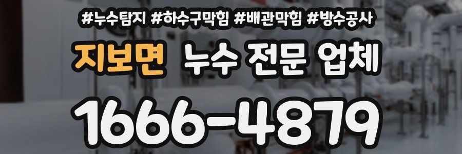 지보면 누수 전문 업체