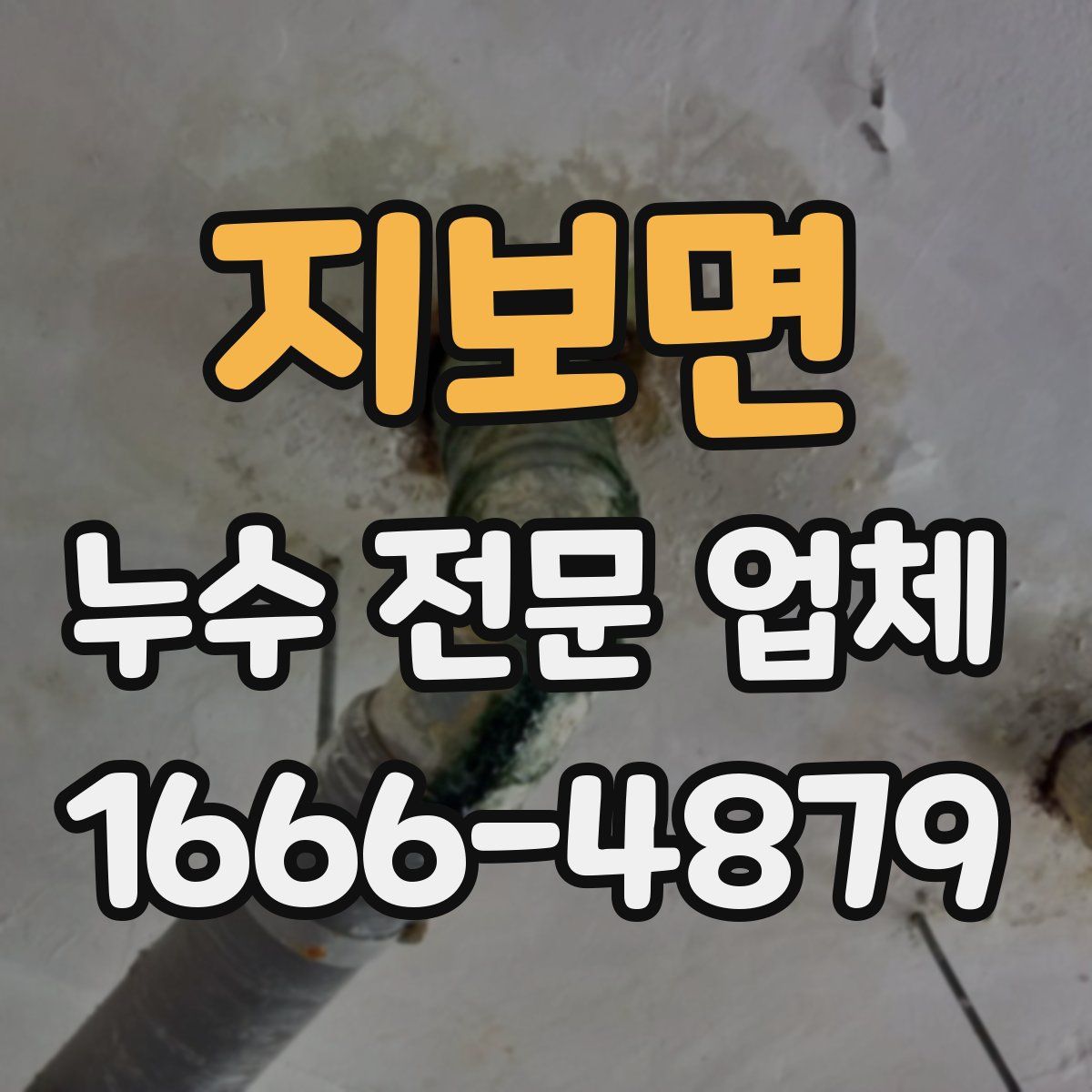 지보면 누수 전문 업체