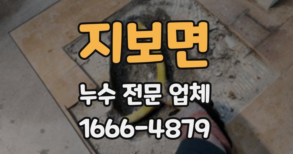 지보면 누수 전문 업체