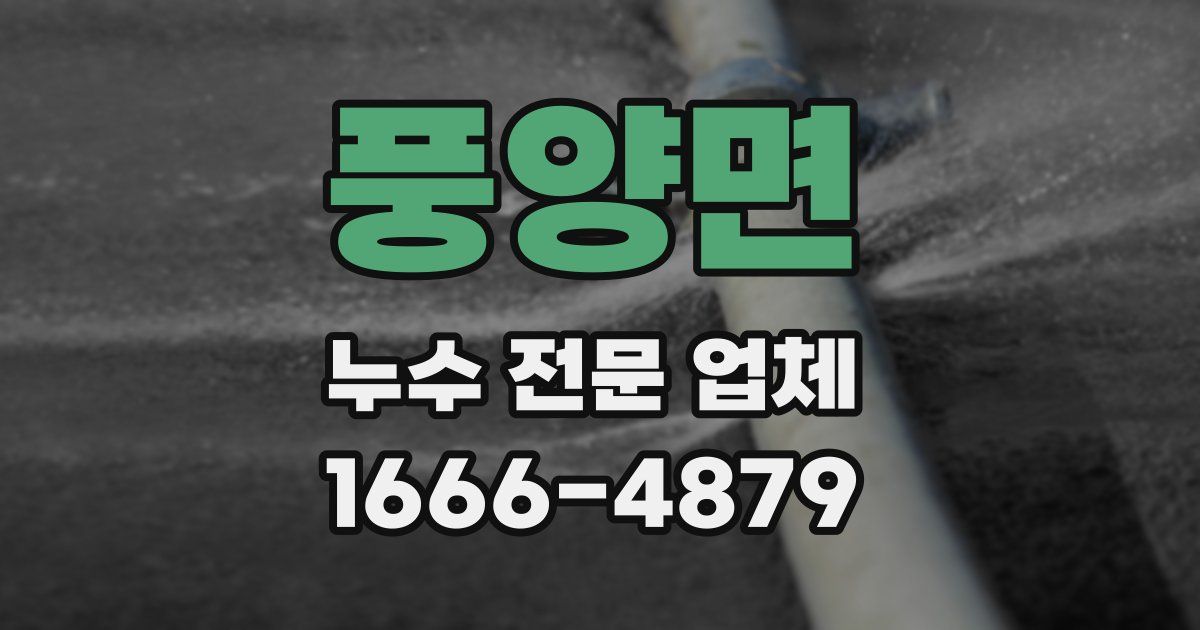 풍양면 누수 전문 업체