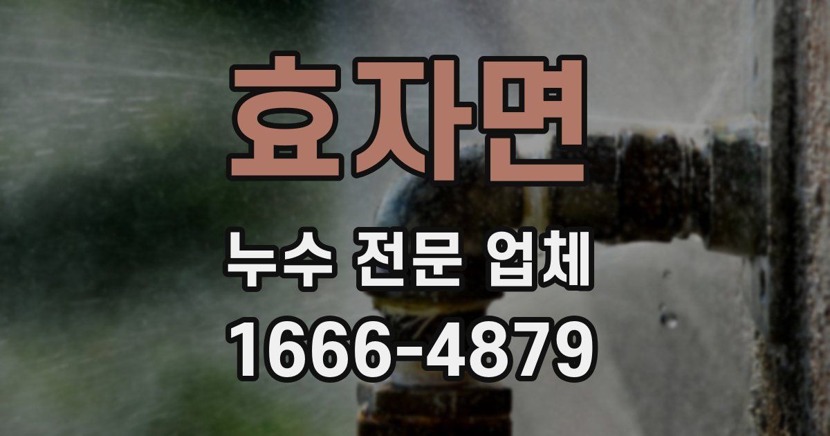 효자면 누수 전문 업체