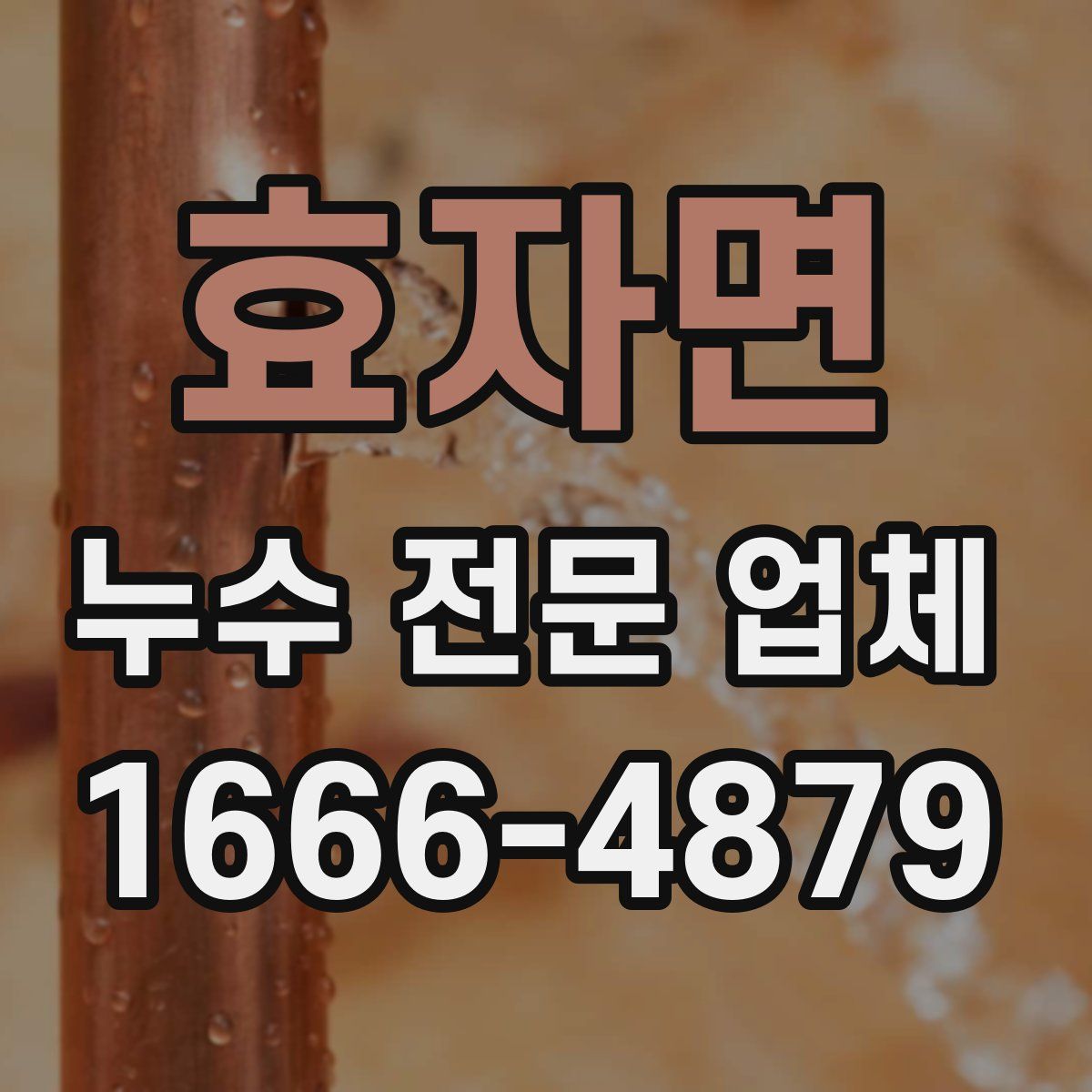 효자면 누수 전문 업체