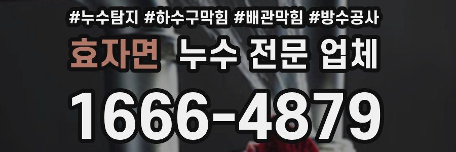 효자면 누수 전문 업체
