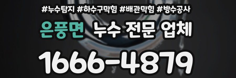 은풍면 누수 전문 업체
