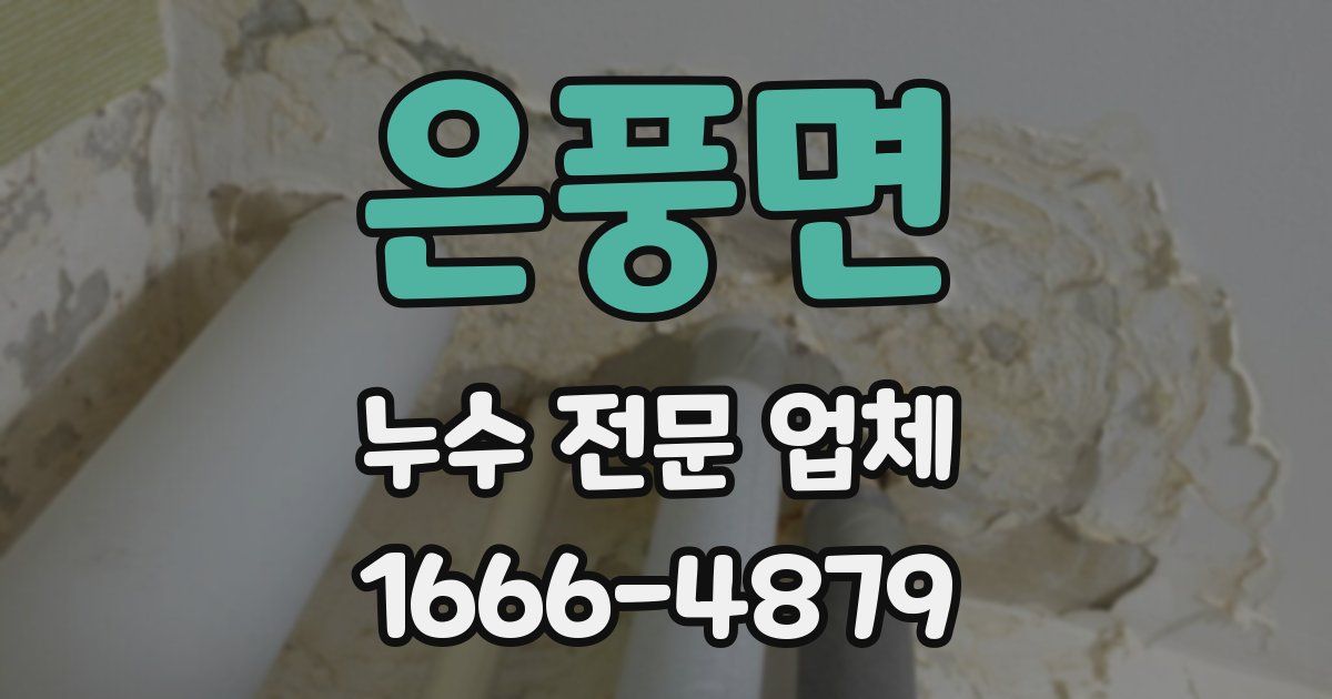 은풍면 누수 전문 업체