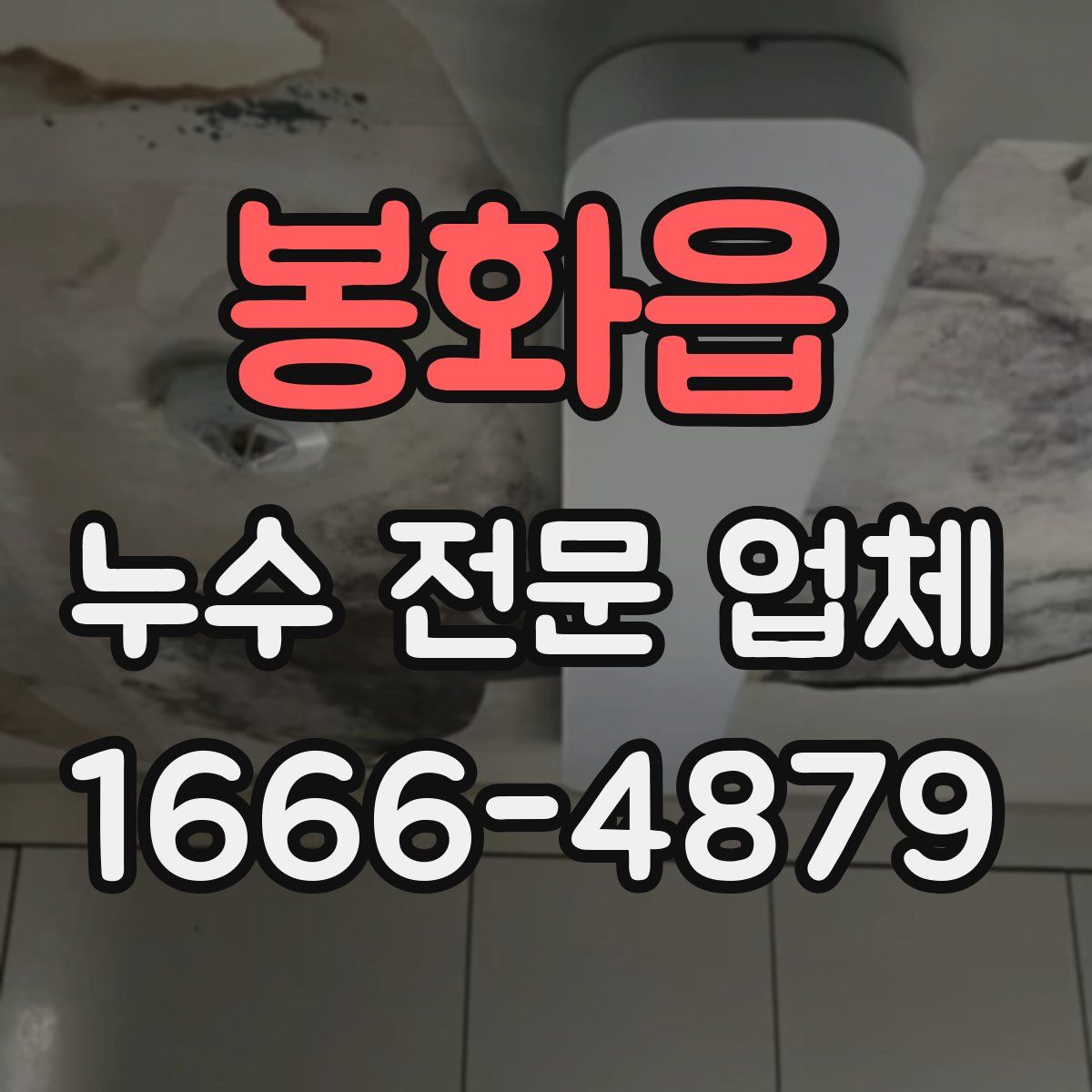 봉화읍 누수 전문 업체