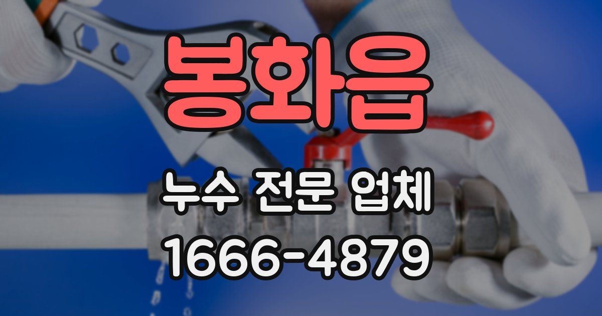 봉화읍 누수 전문 업체