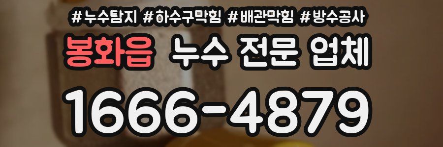봉화읍 누수 전문 업체