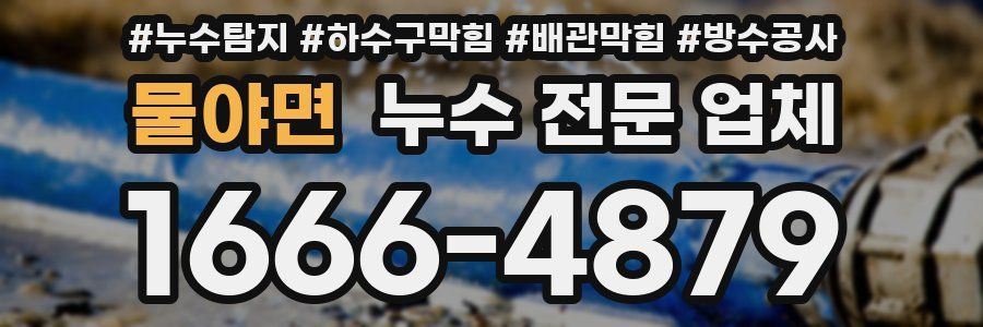 물야면 누수 전문 업체