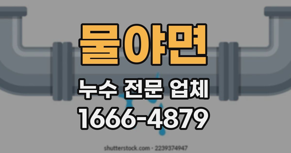 물야면 누수 전문 업체