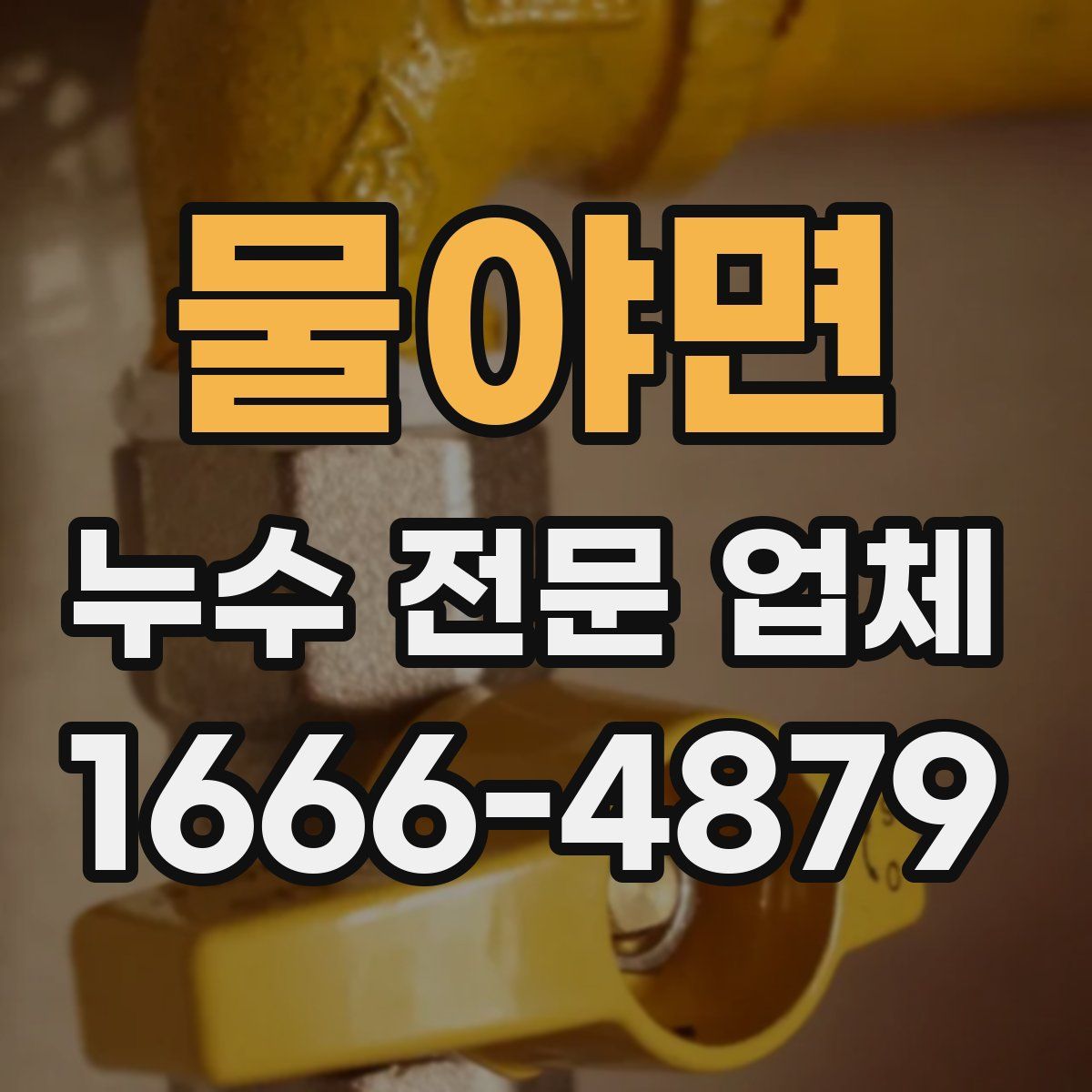 물야면 누수 전문 업체