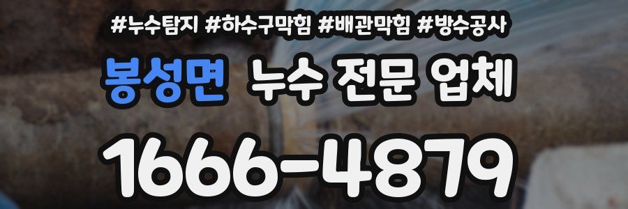 봉성면 누수 전문 업체