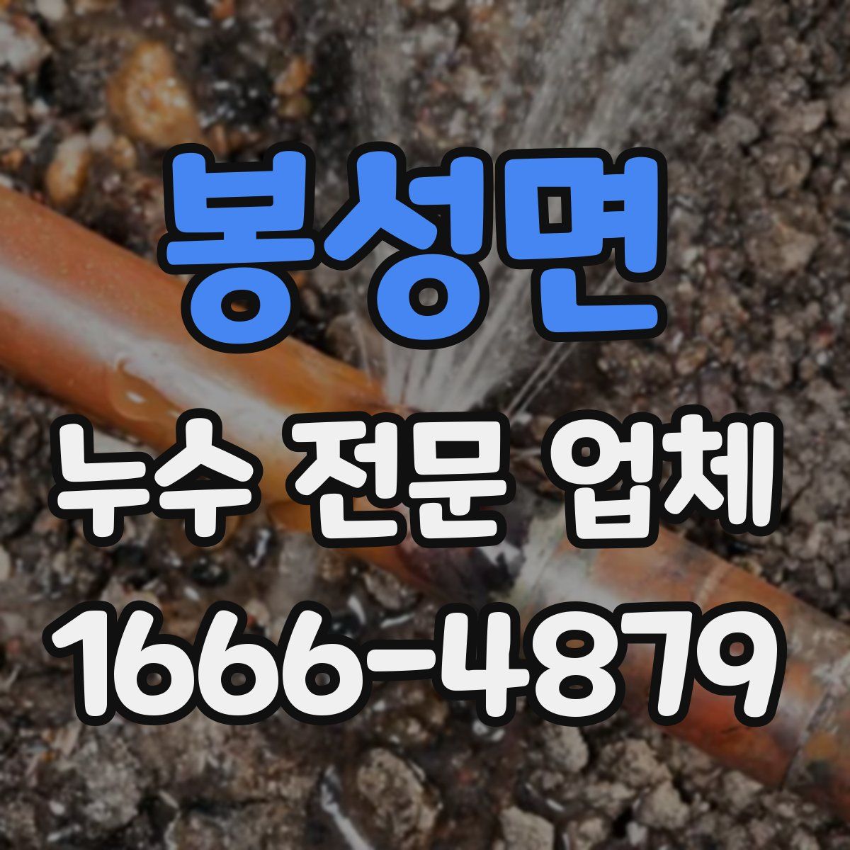 봉성면 누수 전문 업체