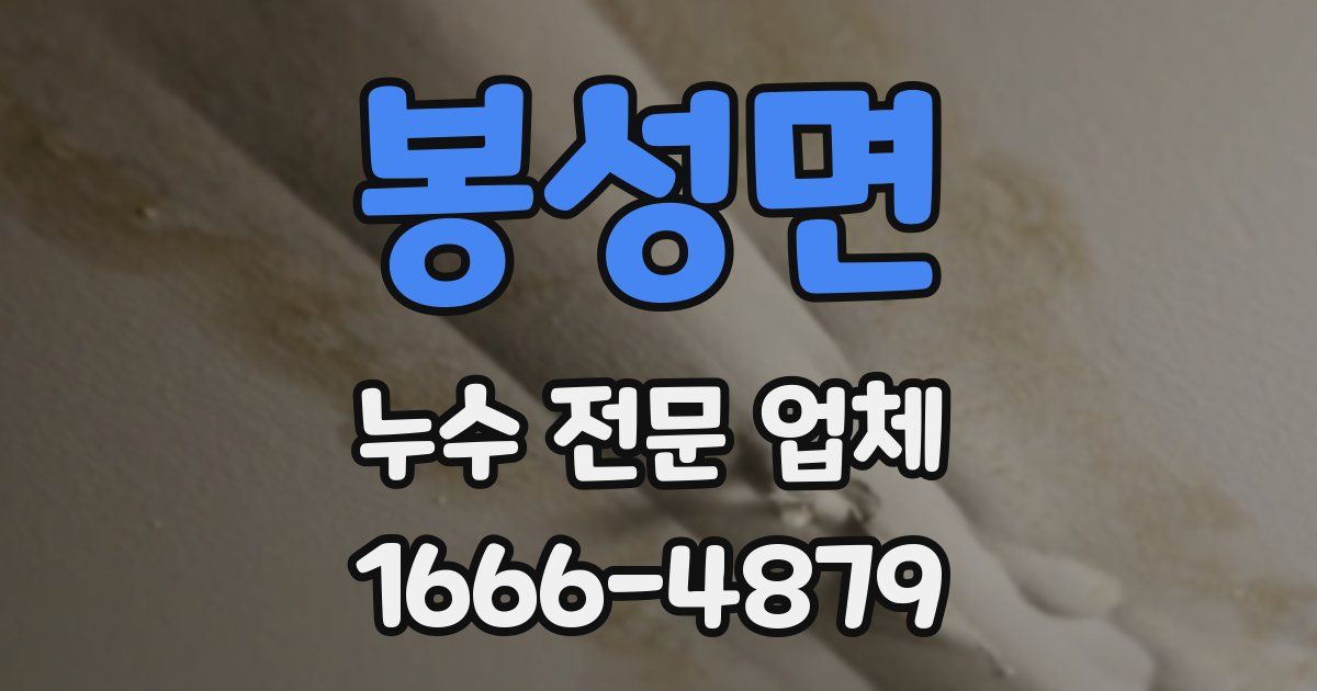 봉성면 누수 전문 업체
