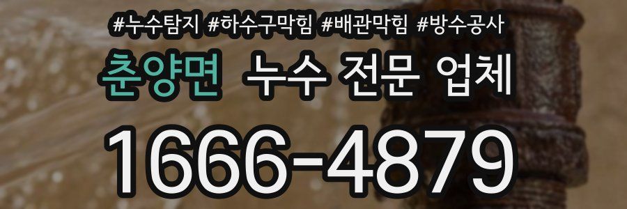 춘양면 누수 전문 업체